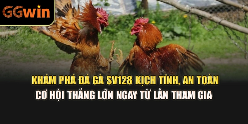 Khám phá đá gà SV128 kịch tính, an toàn, cơ hội thắng lớn ngay từ lần tham gia 