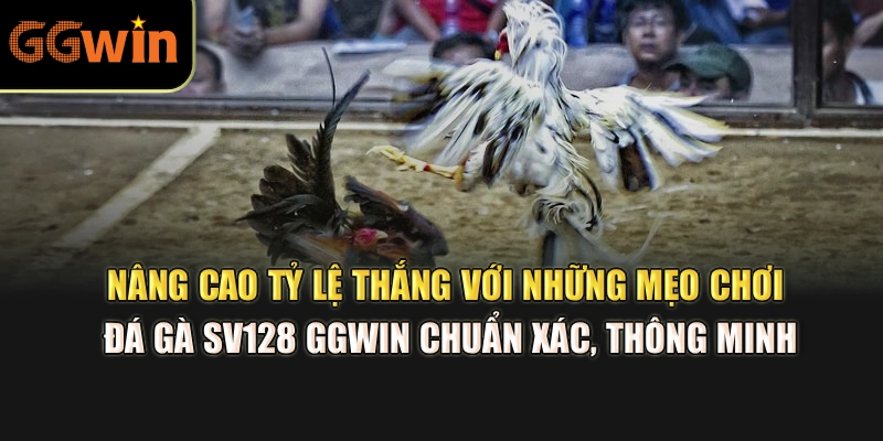 Nâng cao tỷ lệ thắng với những mẹo chơi đá gà SV128 GGWIN chuẩn xác, thông minh